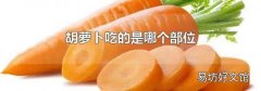 胡蘿卜吃的是哪個部位