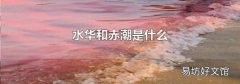 水华和赤潮是什么