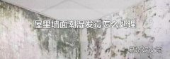 屋里墙面潮湿发霉怎么处理