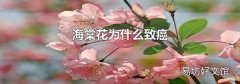 海棠花为什么致癌