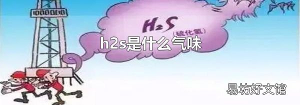 h2s是什么气味