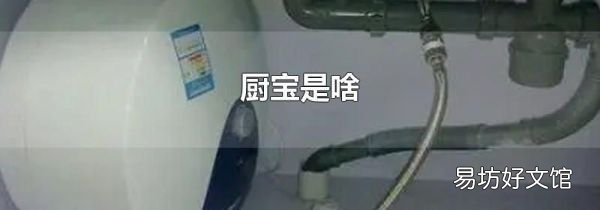 厨宝是啥