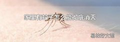 家里有蚊子怎么能彻底消灭
