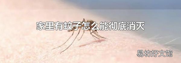 家里有蚊子怎么能彻底消灭