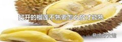 打开的榴莲不熟要怎么放才能熟