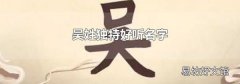 吴姓独特好听名字