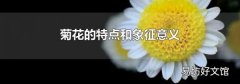 菊花的特点和象征意义