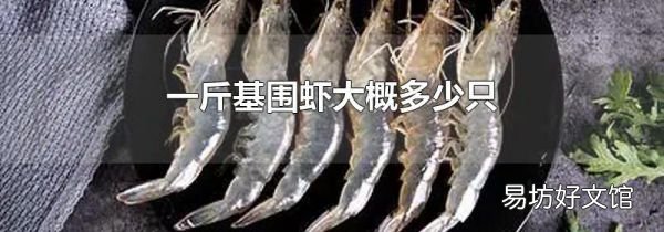 一斤基围虾大概多少只