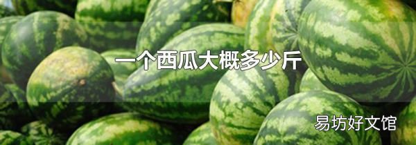 一个西瓜大概多少斤