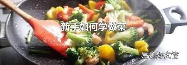 新手如何学做菜