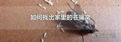 如何找出家里的苍蝇窝