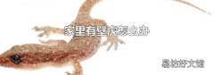 家里有壁虎怎么办