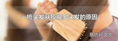 一梳头发就掉很多头发的原因