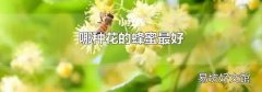 哪种花的蜂蜜最好