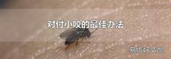 对付小咬的最佳办法