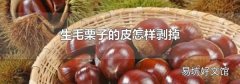 生毛栗子的皮怎样剥掉