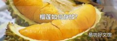 榴莲如何存放?