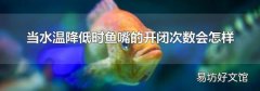 当水温降低时鱼嘴的开闭次数会怎样
