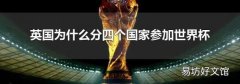 英国为什么分四个国家参加世界杯