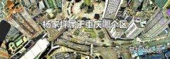 杨家坪属于重庆哪个区
