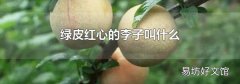 绿皮红心的李子叫什么