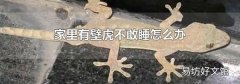 家里有壁虎不敢睡怎么办