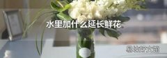 水里加什么延长鲜花