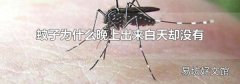 蚊子為什么晚上出來白天卻沒有