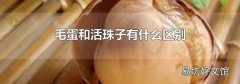 毛蛋和活珠子有什么區(qū)別