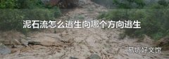 泥石流怎么逃生向哪个方向逃生