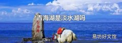 青海湖是淡水湖嗎