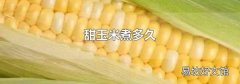 甜玉米煮多久
