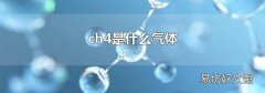ch4是什么氣體