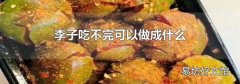李子吃不完可以做成什么