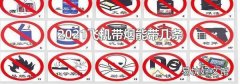 2021飞机带烟能带几条