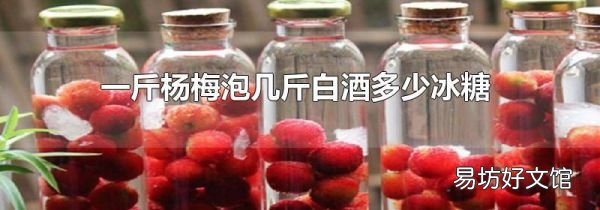 一斤杨梅泡几斤白酒多少冰糖