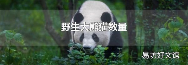 野生大熊猫数量