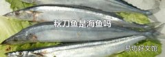 秋刀鱼是海鱼吗