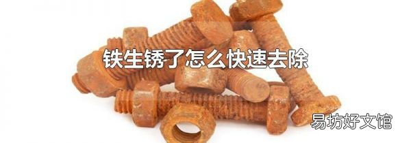 铁生锈了怎么快速去除