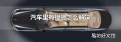 汽车里有蟑螂怎么解决