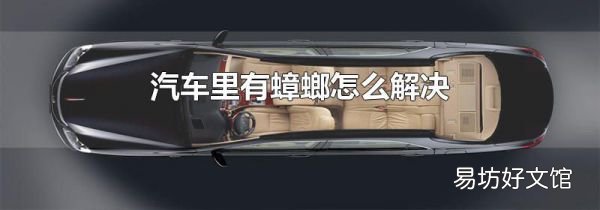 汽车里有蟑螂怎么解决