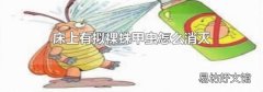 床上有拟裸蛛甲虫怎么消灭