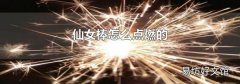 仙女棒怎么点燃的