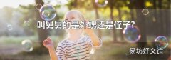 叫舅舅的是外甥还是侄子?