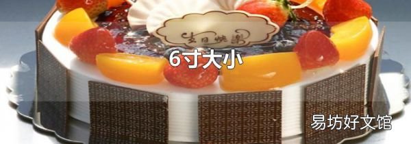 6寸大小