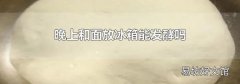 晚上和面放冰箱能发酵吗