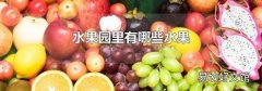 水果园里有哪些水果