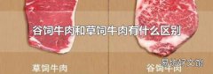 谷饲牛肉和草饲牛肉有什么区别