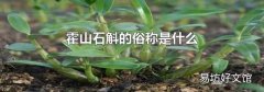 霍山石斛的俗称是什么