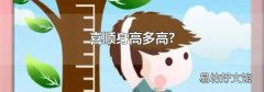 喜顺身高多高?